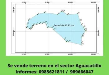 Terreno Aguacatillo
